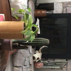 Meet your Posher, Melanie